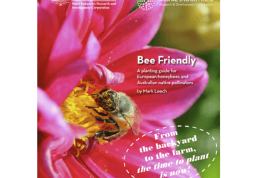 Bee Friendly