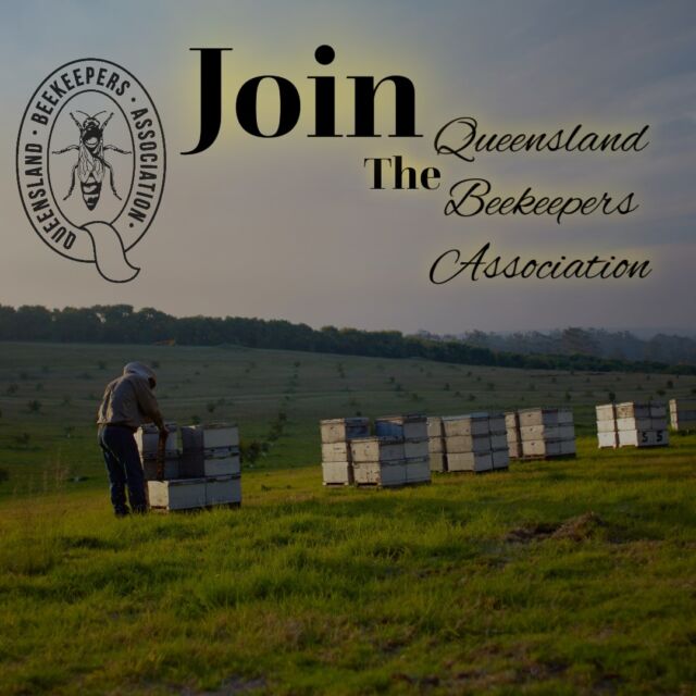 Contact Us Queensland Beekeepers