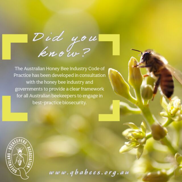 Home - Australian Honey Bee Industry Council